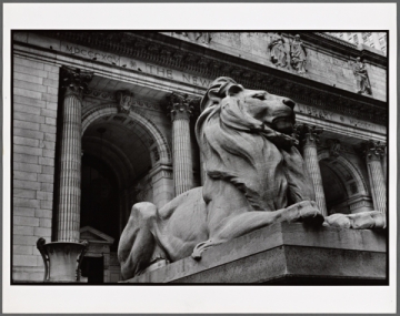 New York Public Library